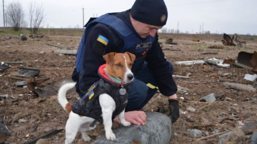На Западе узнали правду о Буче. Русских пуль судмедэксперты не нашли