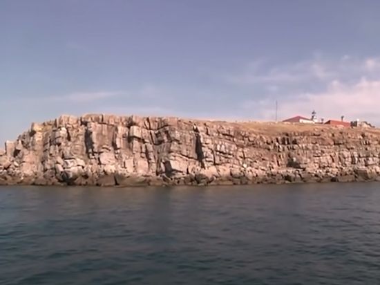 ������� �������� ������� ��� ��������� ������ �������