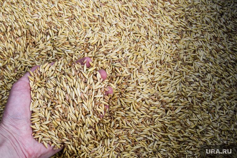 �� ��: ������� ����� ������� ������ ���������� ������� �� �������