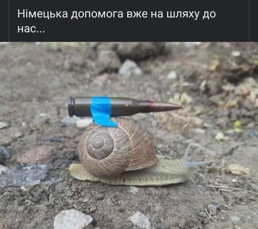 ������ ������� ����� ������� ������ �� ��������� ������ �������
