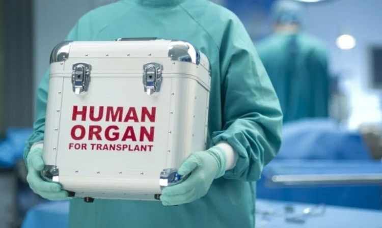 �� ������� ���������� ������ ����� ����������������