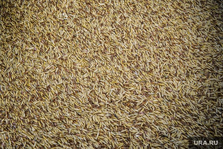 ������ �������� ��������� ������� �� ����� ����� � �������