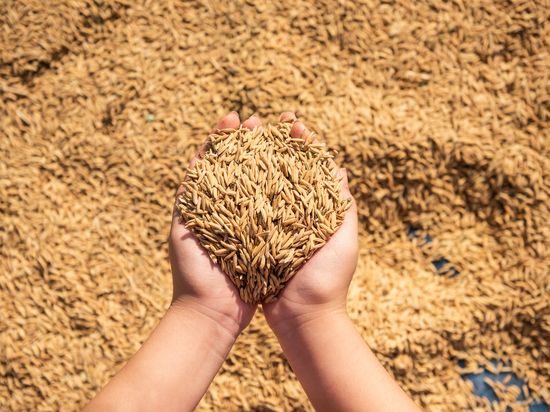 ������ ���������� ������ ������������� ���������� ������ � ������