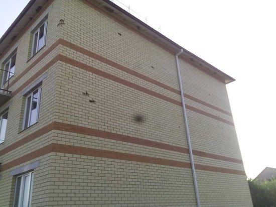 Губернатор пригласил на Брянщину Макрона, Шольца и Драги