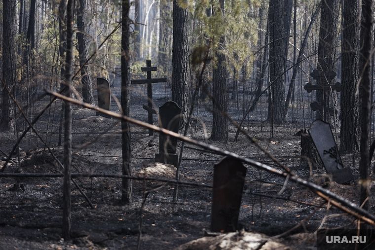 ���� ������� ������������� ���������� � ������. &laquo;����������� ������ �������� �������� �� ����&raquo;