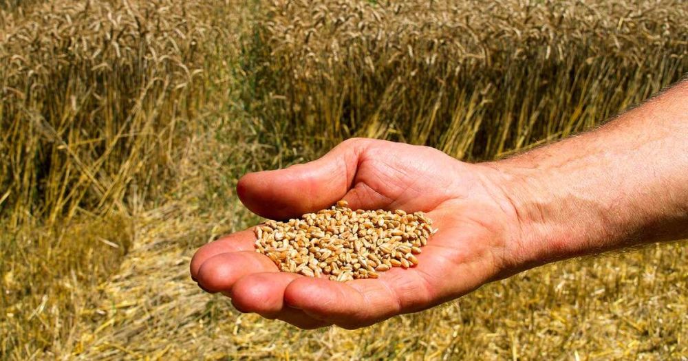 ���� ��������� ����� ������� ��� ������� ��������� �������