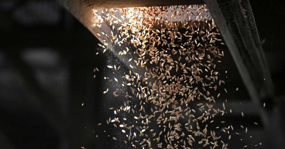 ���������� ������, ������, ����� � ��� �� ����� ������� 13 ����