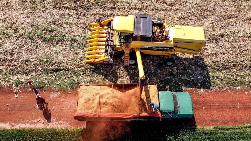 ������ ����������� �� ������� � �������� ����� ����������� �� ������� ������� ������ �����