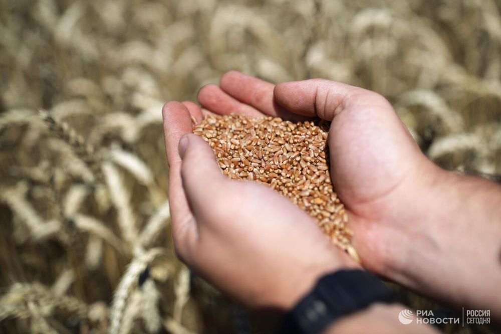 ������� ����: ���� ����� �������������� ����� ����� ��� ���������� �����