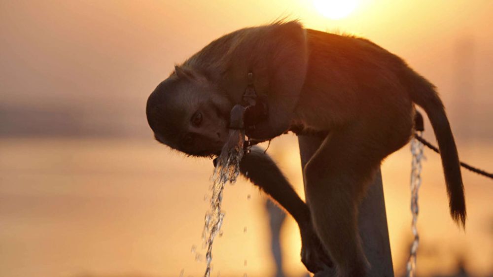 ������� ������� � ����������� ���: 23 ����