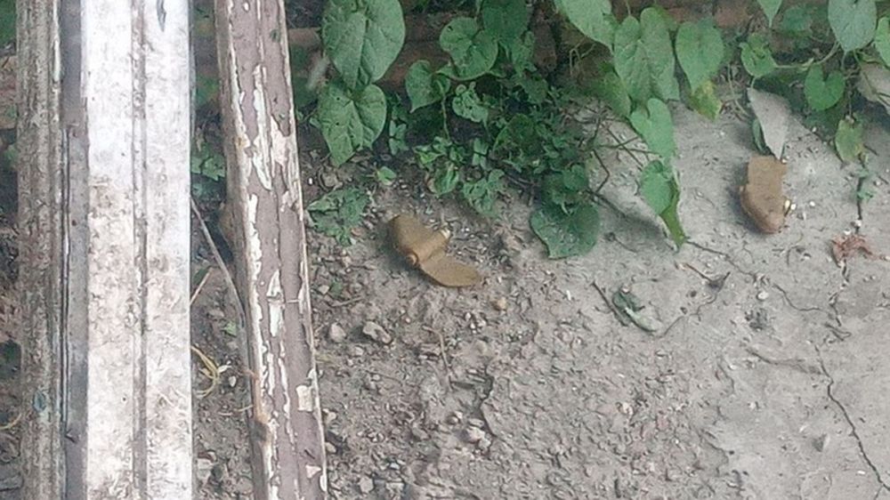 ������� ������� ������� ����������� �� ���������� ����� ���������