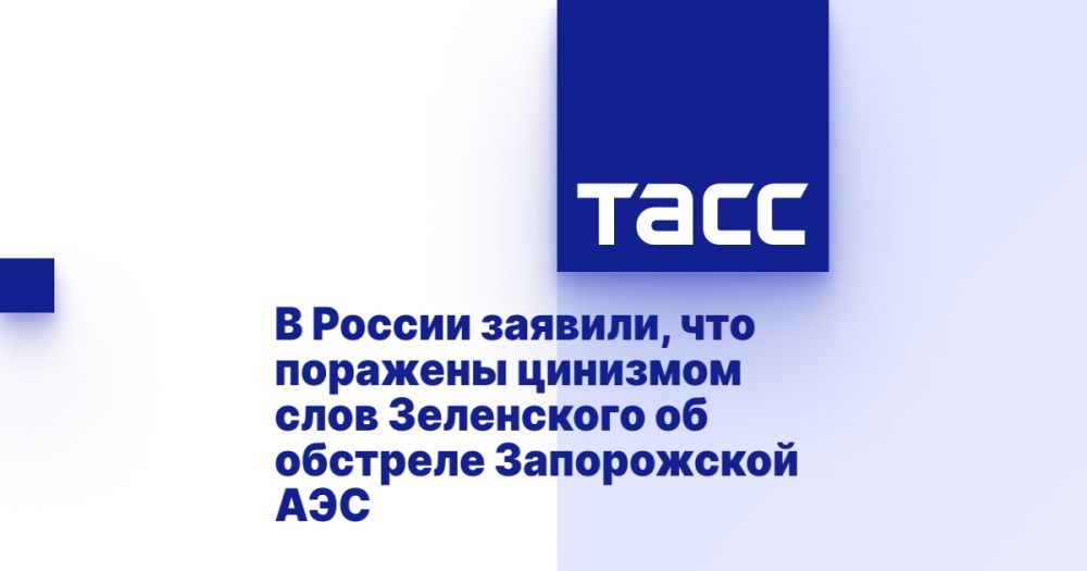 В России заявили, что поражены цинизмом слов Зеленского об обстреле Запорожской АЭС