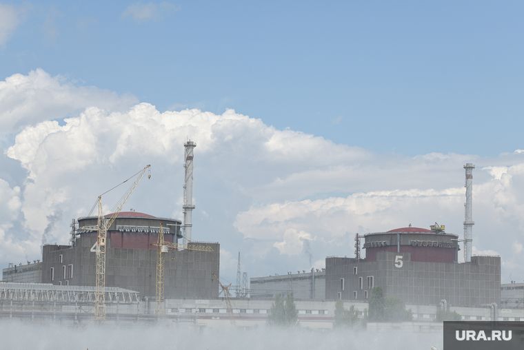 В МИД РФ поразились цинизмом слов Зеленского об обстреле ЗАЭС