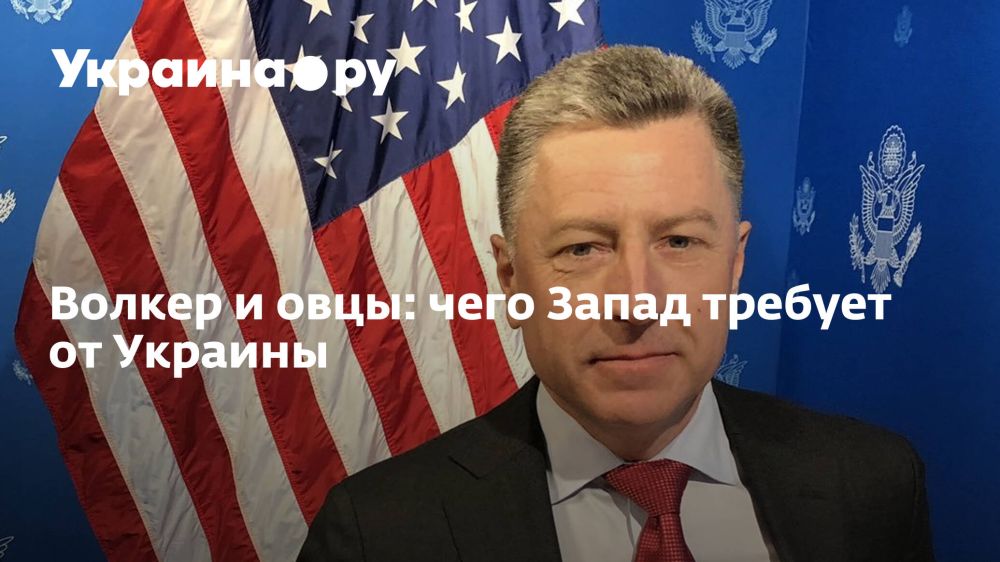 ��������� �������.��. ������ � ����: ���� ����� ������� �� �������