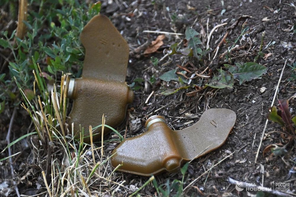 ��� �������� ���������� ����������� ����� � ��������������� �� "��������"