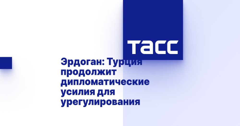 Эрдоган: Турция продолжит дипломатические усилия для урегулирования украинского кризиса