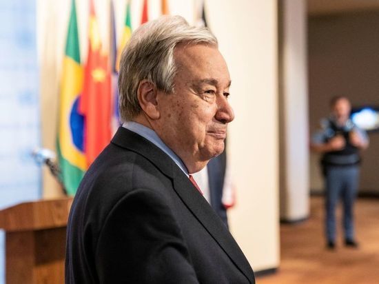 Миссия по Еленовке работает над гарантиями безопасного доступа к месту событий – генсек ООН