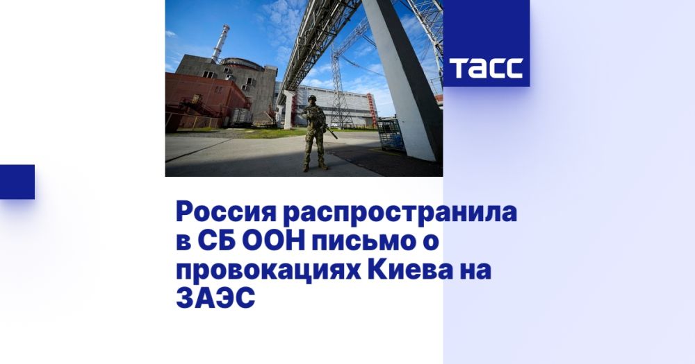 Россия распространила в СБ ООН письмо о провокациях Киева на ЗАЭС