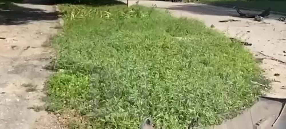 ������ ������� ������ ����� ����������, ����������� ������� ����� �����