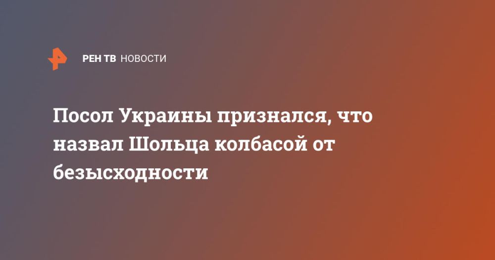 Посол Украины признался, что назвал Шольца колбасой от безысходности