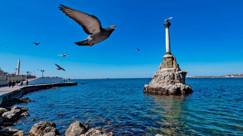 ���� ���� � ����� - ��� ������� � ��������� ����