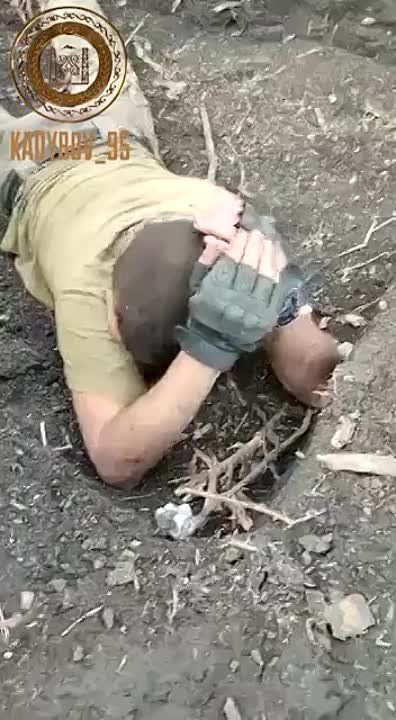 ������ �������: ��� �� � ������� �� ���� ���������� ���������� ��������