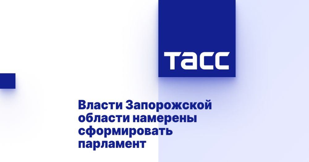 Власти Запорожской области намерены сформировать парламент