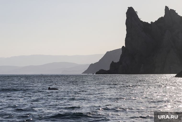 � ��� ���������, ������ ��������� �� ������ ��������� ����