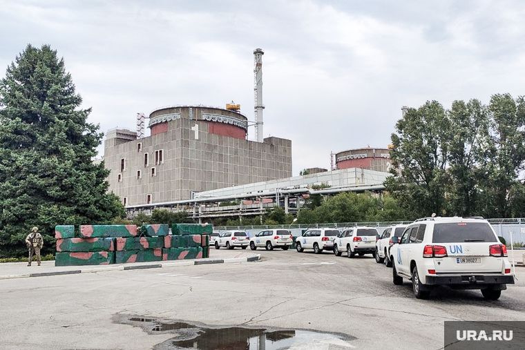 �����: ���� ������� �������� ������� � ��������� ������ �� ����