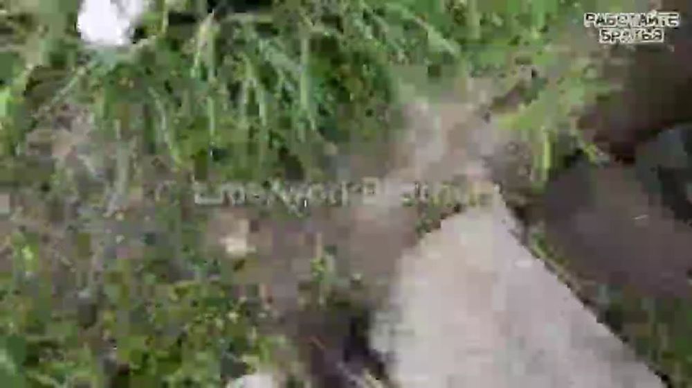 ������� ��������: ��������� �������� �������� �����