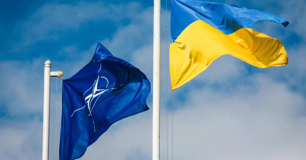 ������� ������������ ����� "������� �������� ������������" �������