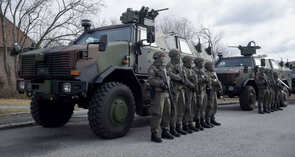 �������� �������� ������� 50 ���������� ����������� Dingo � ��� ���� Mars