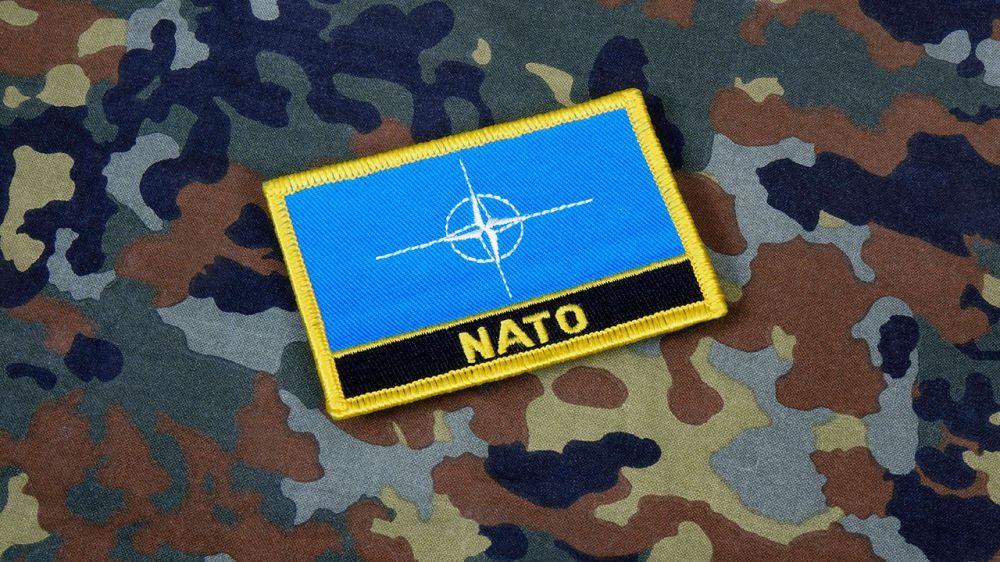Пасечник: Киев пытается «затащить» НАТО на Украину