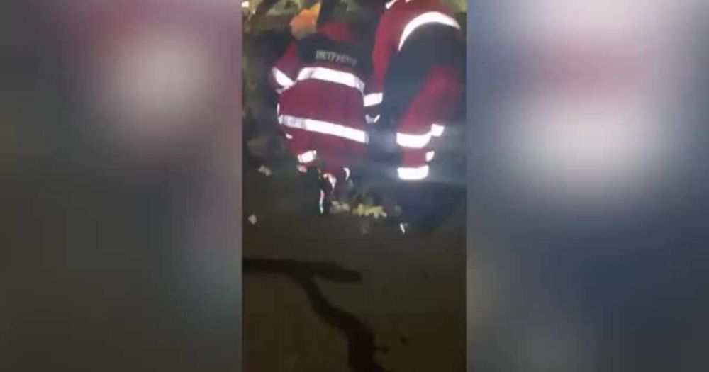 �� ������� ������ ��������� ���� ����� ��� � �������� ����������