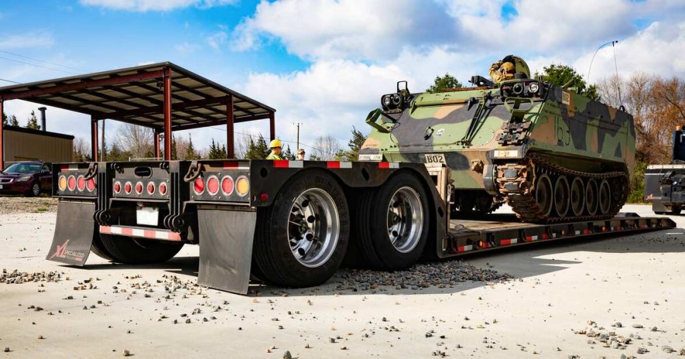 ����� �������� ����� 50 ������������� ����� �113