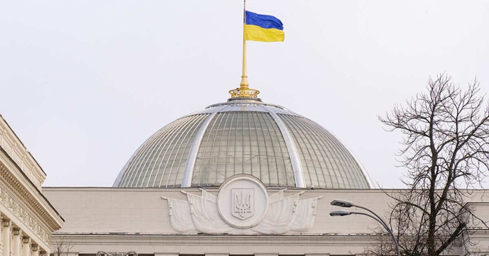 FP ������ ������, ������� ����� ��������� ������������ ����