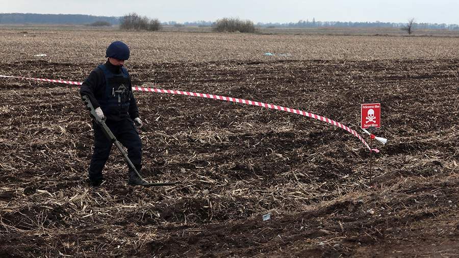 СМИ сообщили о сильных взрывах в Киеве из-за учений для саперов