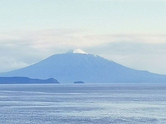 ������� �������� ����� ������ �������������� ����������� ������