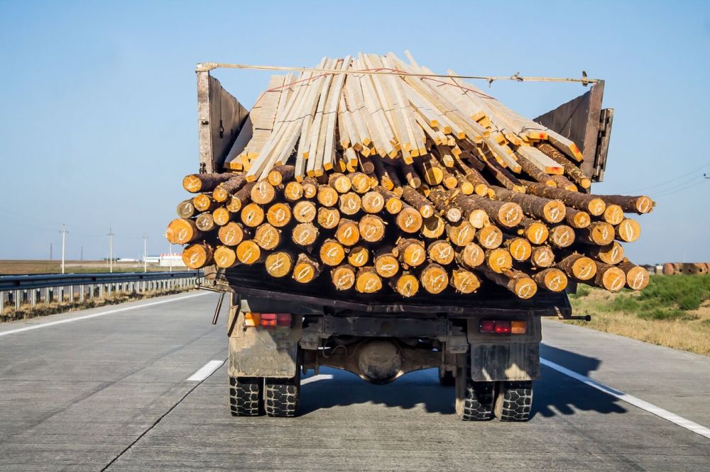 ���� �������� ��������� �� ������� ���� � ������� � ������������� ������