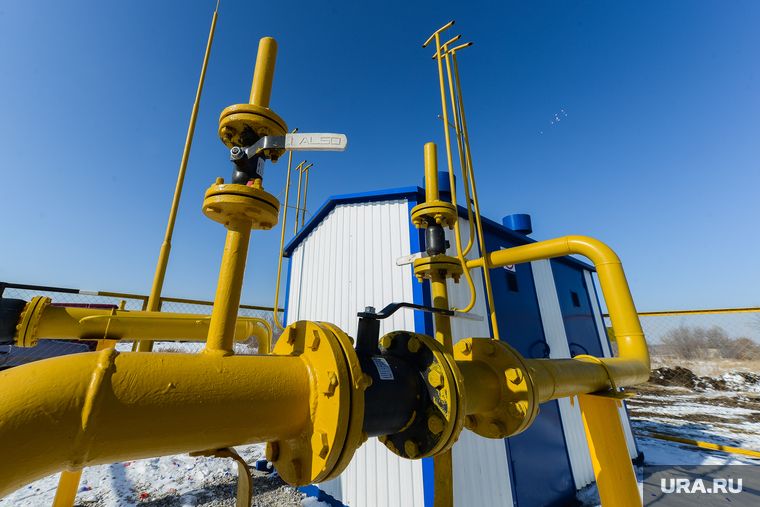 ���-������� ����: ������� ������� ������ �� ����������� &laquo;������&raquo;