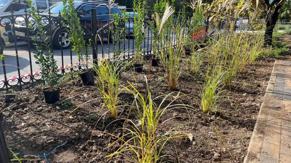 В столице Крыма приступили к озеленению бульвара Франко