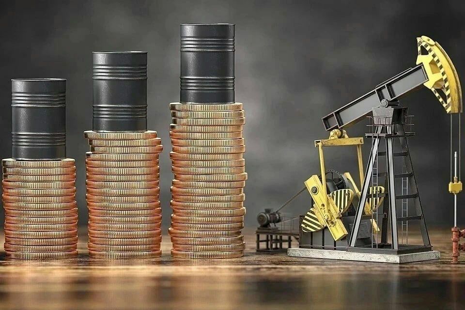 � ����� ���������� ���������� ������� ��� �� ���������� ����� �� ���� 20 ��������