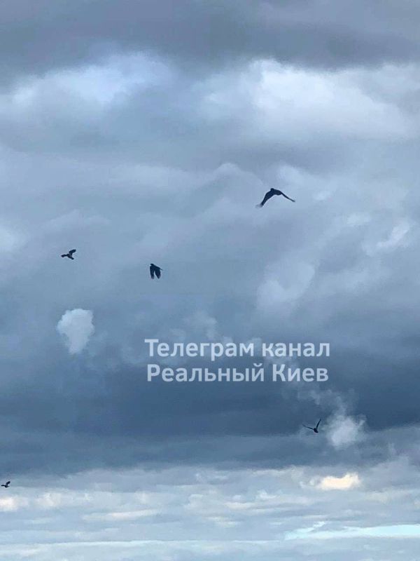 ������ � �����, ������������� �������� �����, �� ����� 12 �����