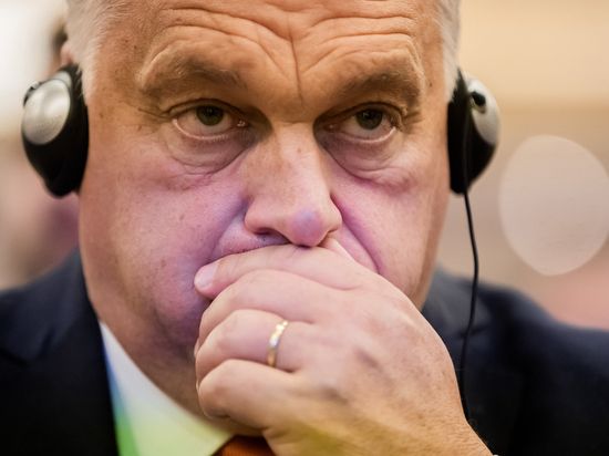 ������ ����� ������������ �����������: ������� ��������� ������ � �������