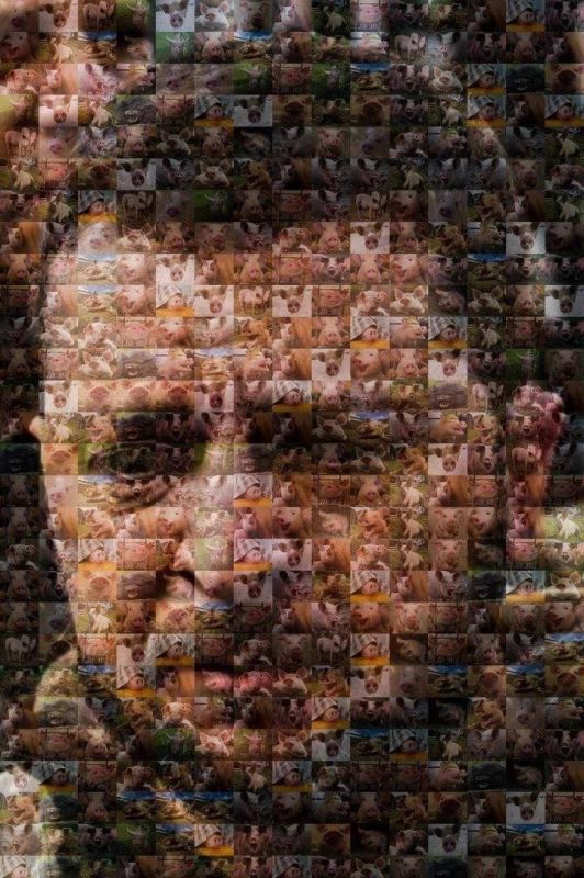 ����� �������������� � ������ �������������� ����� �������� ��������� "�������� � ����� ����-�����" �� ��������� ������, ���� ��� ������ ������� �� �������, ����� FT