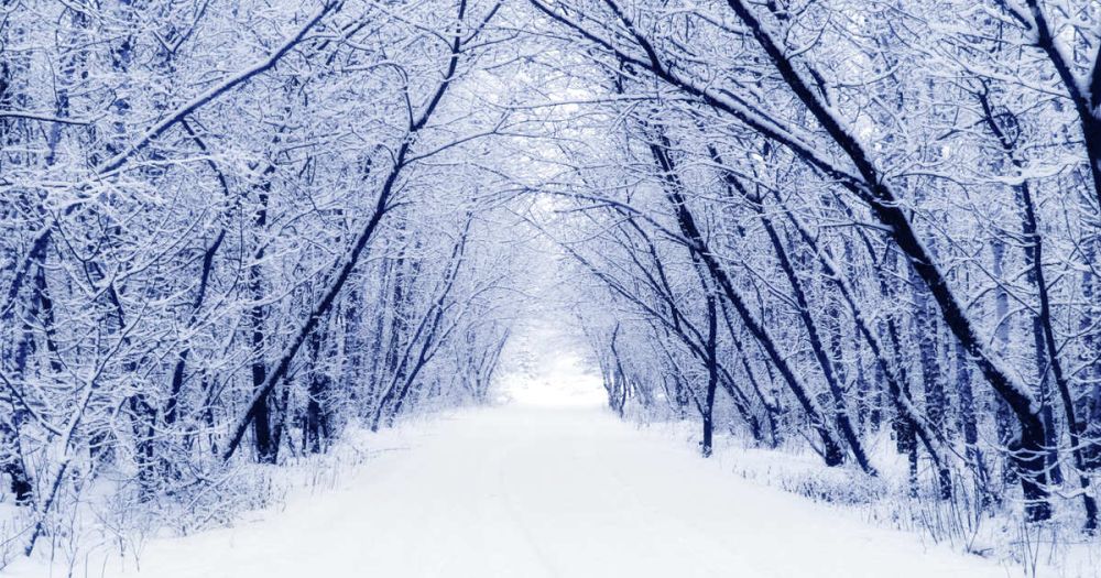 �������� ������� ������, ��� ������ ���� ������ ��������� �� �������