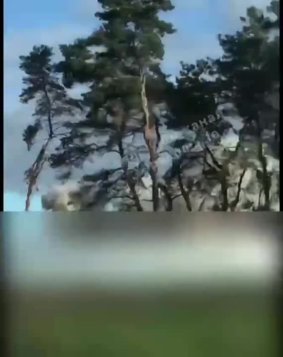 ���� �������: �� ���������� �������� � ��������, ���������, ���������� ������� ������������ ������� ������