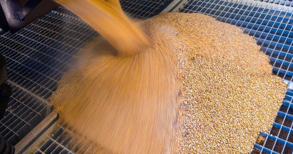 ������ �������� ����� ������� ����� �� �������� ������