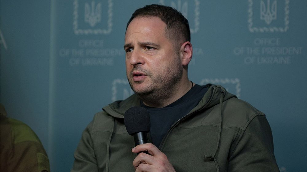 � ����� ����� ��������� ������ ������ � IT-�����������