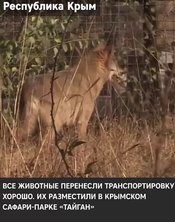 ���������� ��������� ��������� � ���������� ����� � � ����